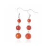 Aretes de plata con cornalina natural y profundidad cromática. Una joya de presencia serena y energía contenida.