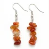 Aretes de plata con cornalina natural, tonos terrosos y presencia equilibrada. Una pieza sobria de carácter mineral.